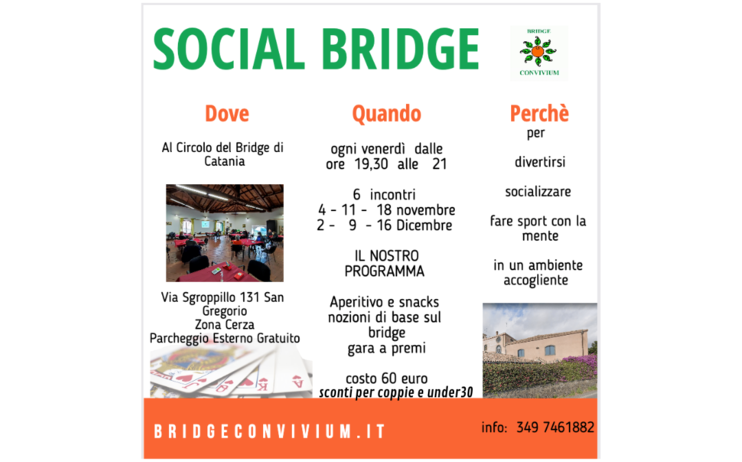 Social Bridge